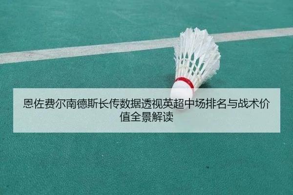 恩佐费尔南德斯长传数据透视英超中场排名与战术价值全景解读